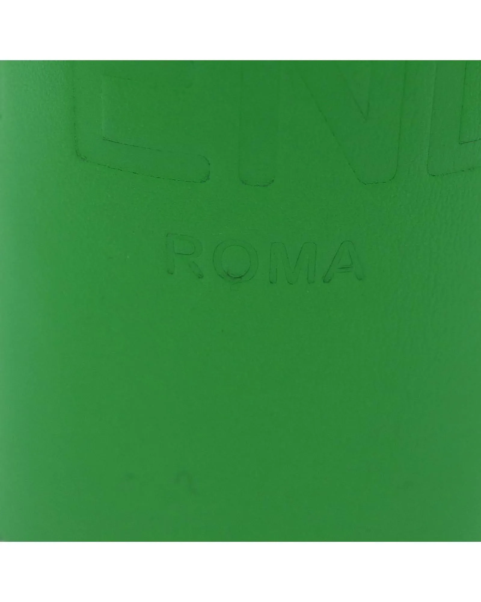 Green Leather Water Bottle Holder by Fendi