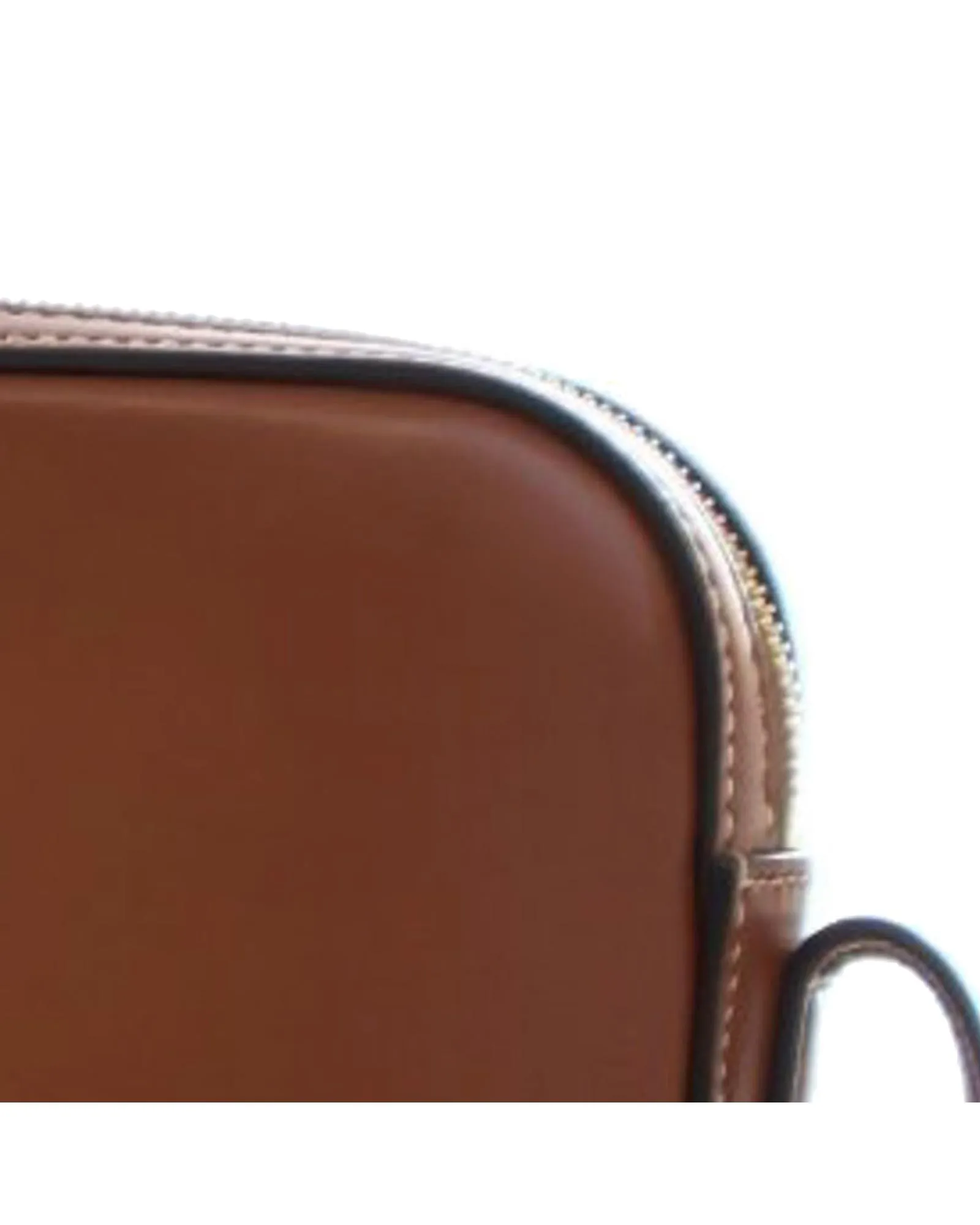 Mini Calfskin Camera Shoulder Bag with Adjustable Strap